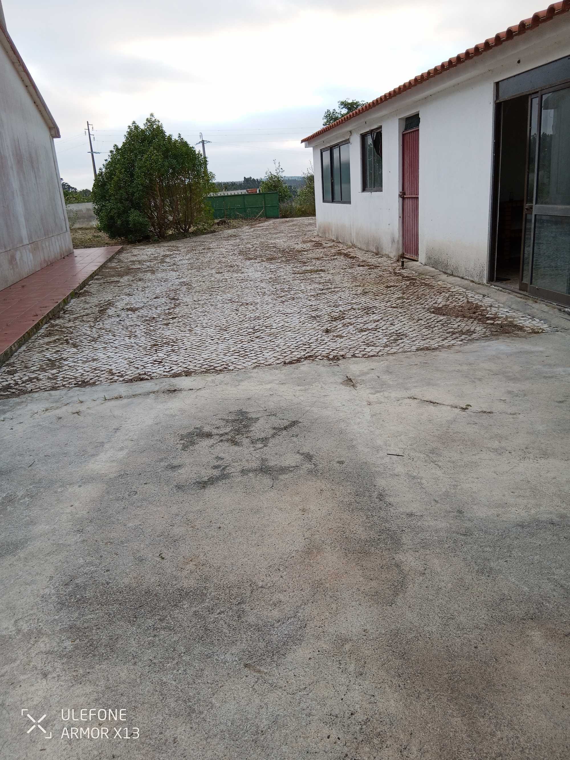Manutenção de jardins Limpeza de terrenos