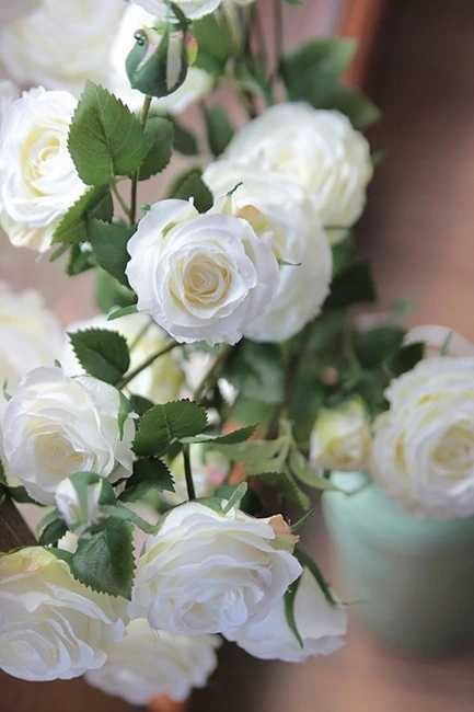 Róża biala gałązkowa do wazonu Wszystkich Świętych