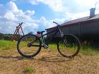 Rower typu (dirt)