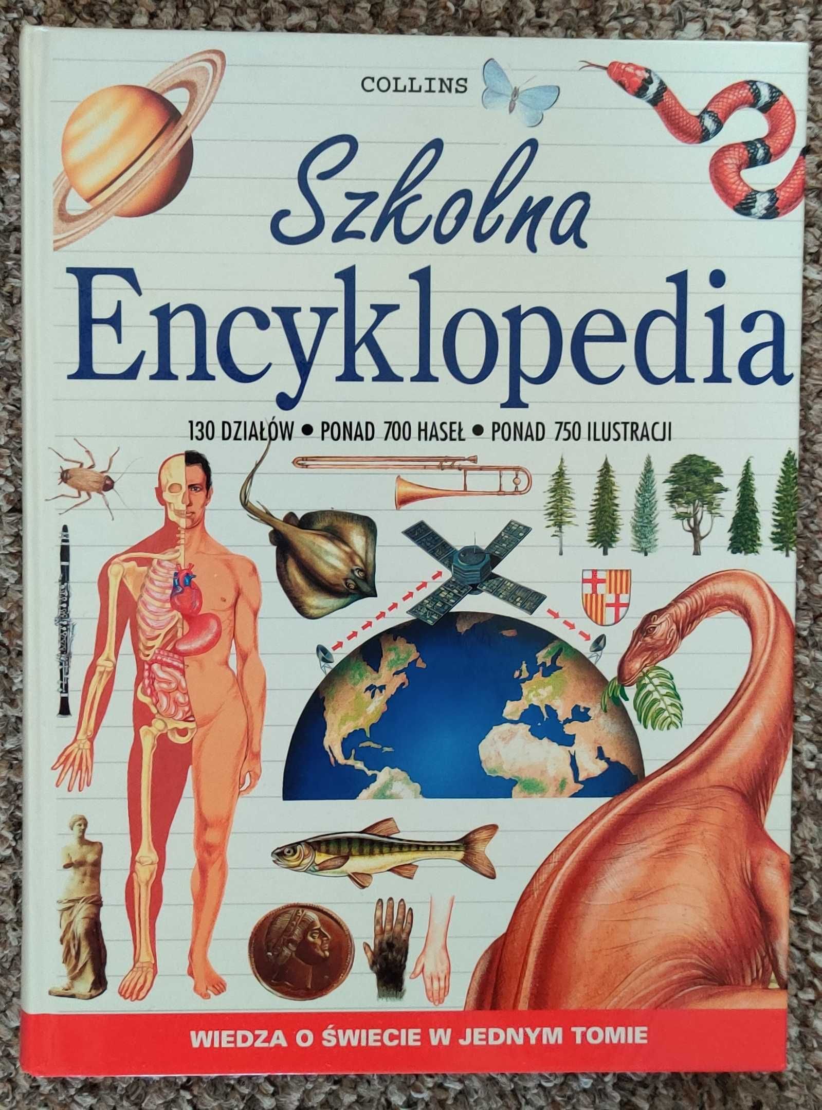 Encyklopedia Szkolna - Collins - Wiedza o świecie w jednym tomie