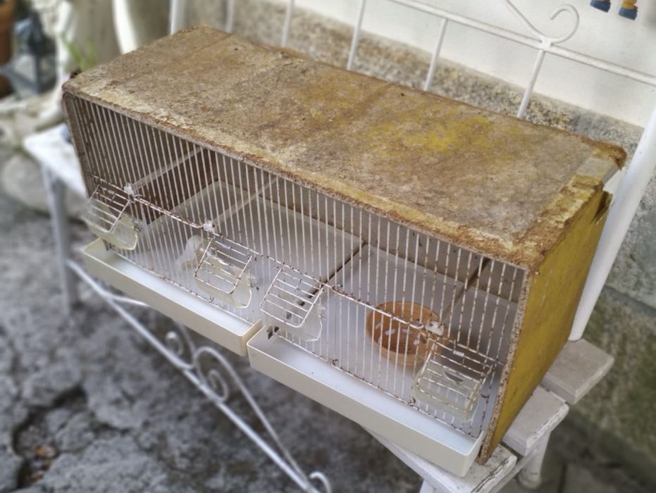 Gaiolão para pássaro