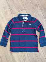 Bluza chłopięca Hampton r. 110