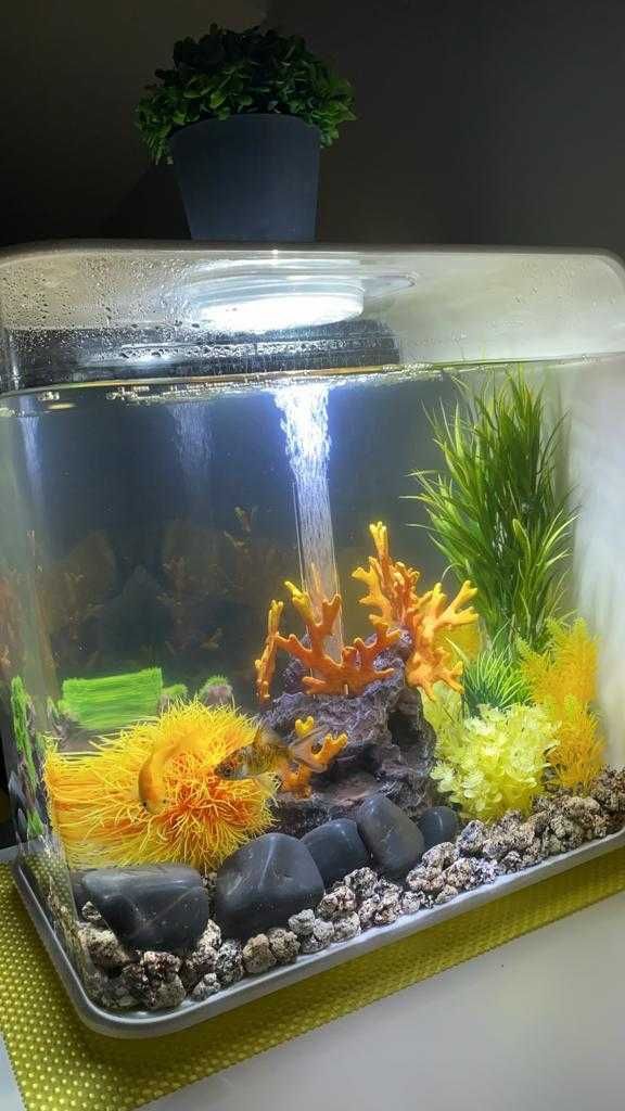 "The Best Aquarium in PT!" Aquário Biorb Flow 30L. Super Completo.