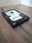 Dysk twardy Western Digital 80 GB
