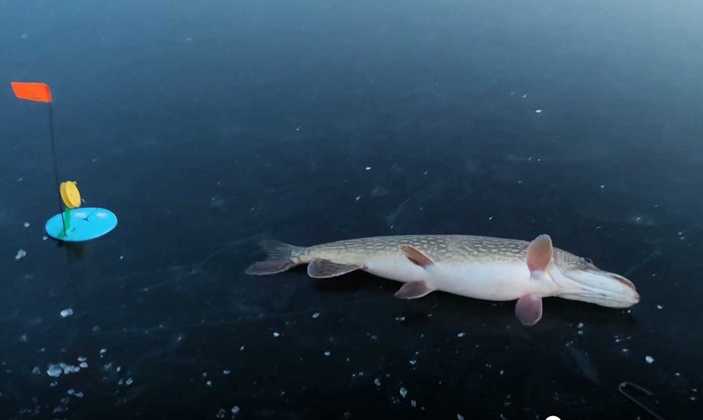 Пешня для рыбалки/ пішня / пишня для зимової риболовлі /ледоруб/плешня