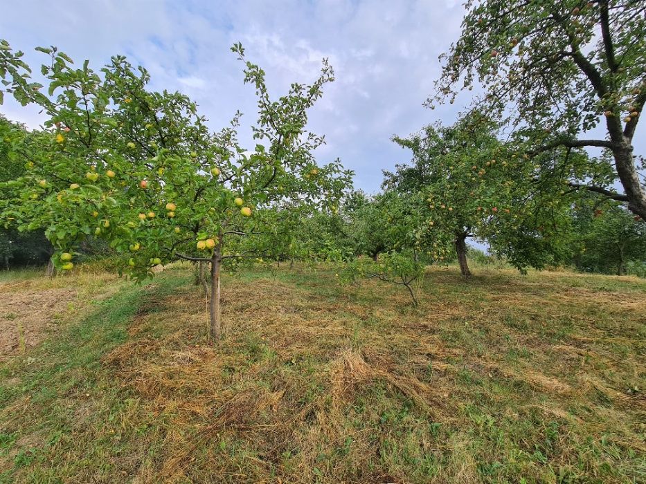 Продам велику ділянку з копанкою у Зарванці (біля Вінниці)