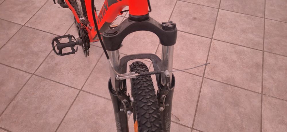 Bicicleta adulto