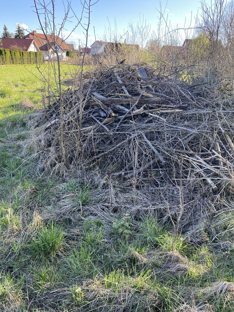 Gałęzie na rębak