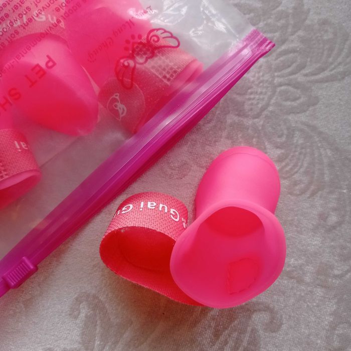 Buty, buciki jesienne dla małego psa