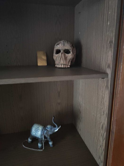 Ручна робота - Череп декоративний  з натурального дерева.