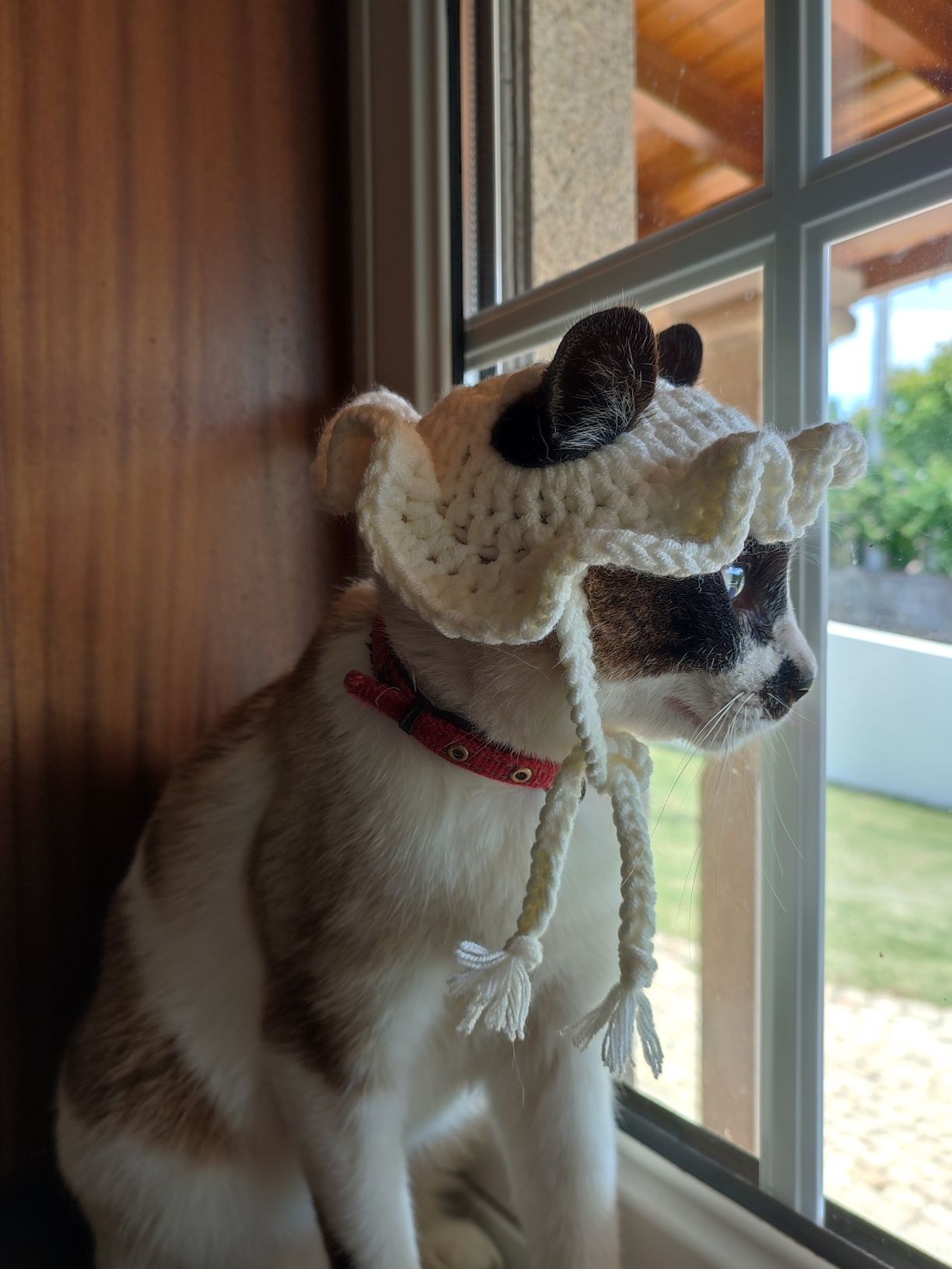 Chapéu de gato de crochê