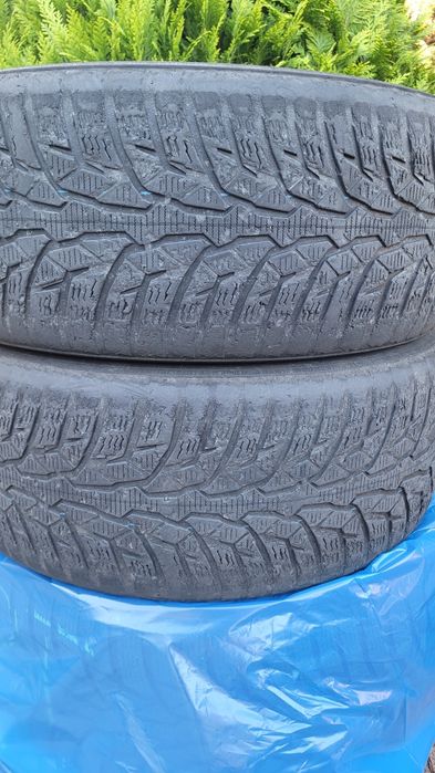 Nokian WR D4 225/45 R17