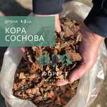 Соснова Кора Дрібна  АКЦІЙНА ЦІНА (1-3 см)  "Форест Харків"