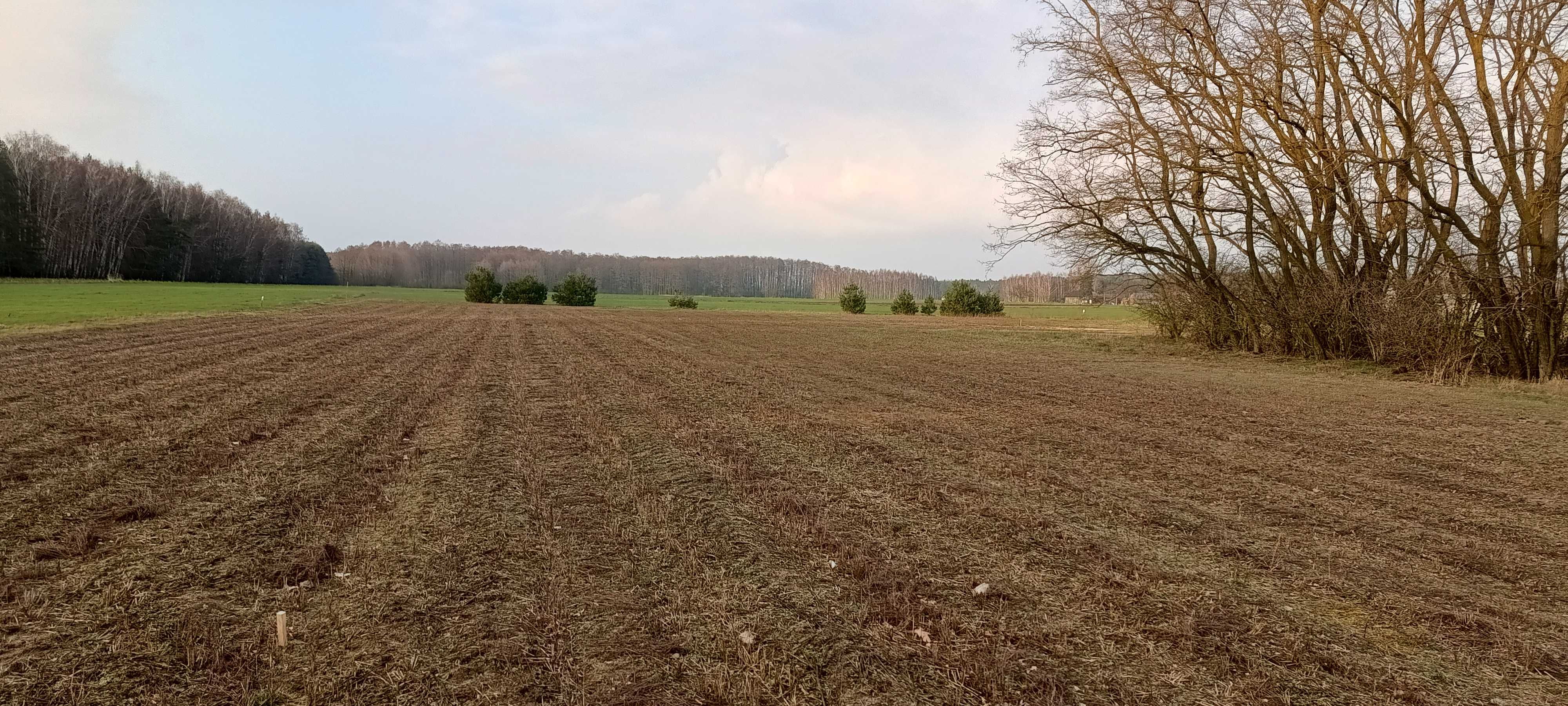 Działka budowlana Magdalenów gmina Wodzierady