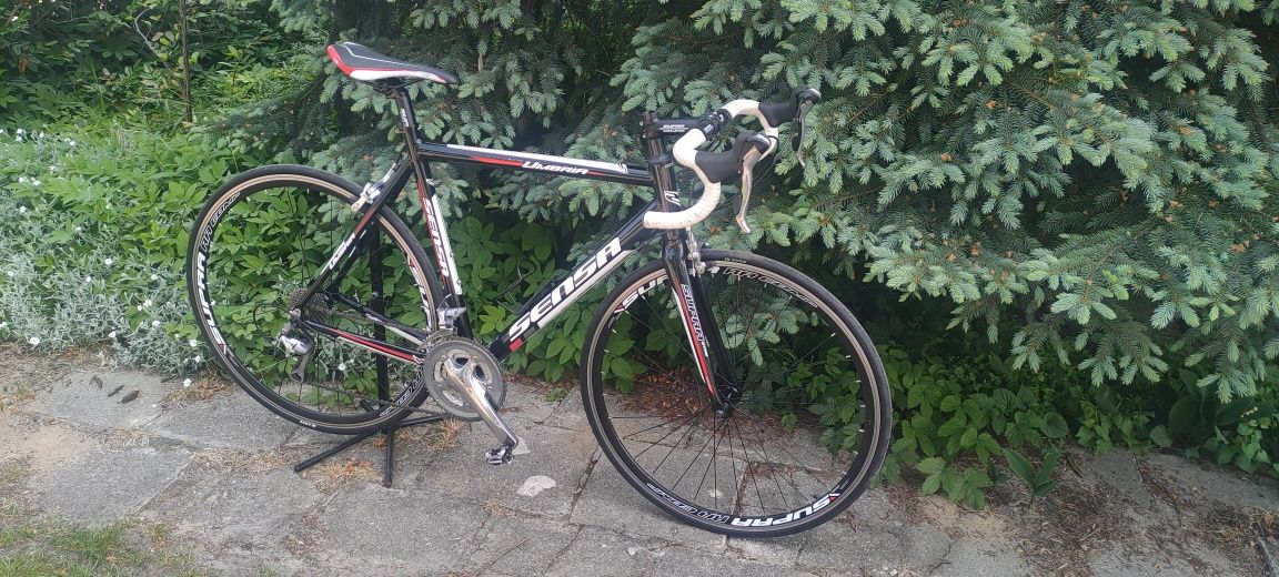 Szosa Sensa Umbria rama 56 Shimano Tiagra