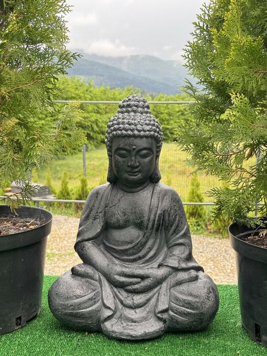 Оренда котеджу в Карпатах з безлімітним чаном