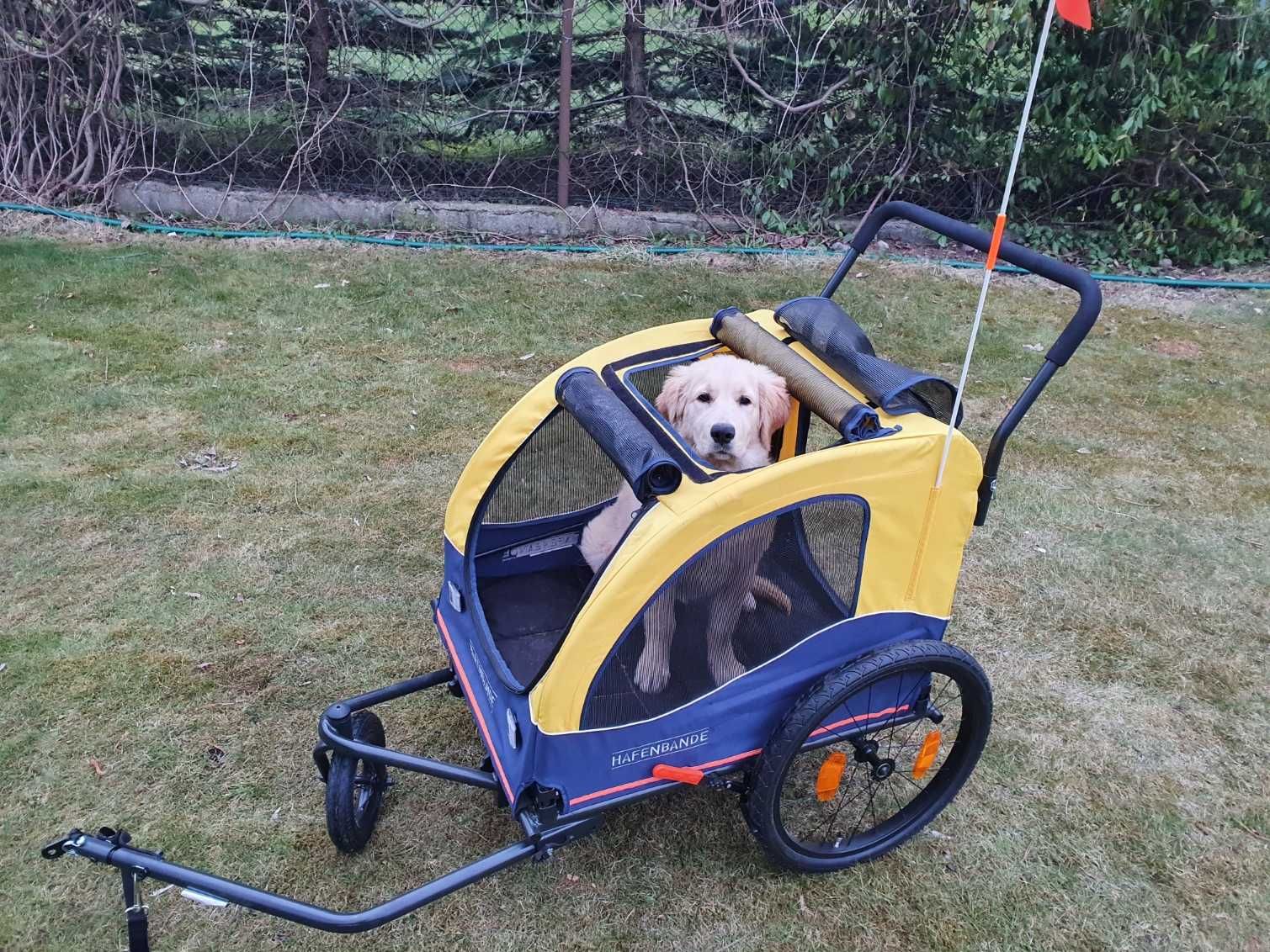 Przyczepka rowerowa dla psa-wypożyczę, wynajmę.