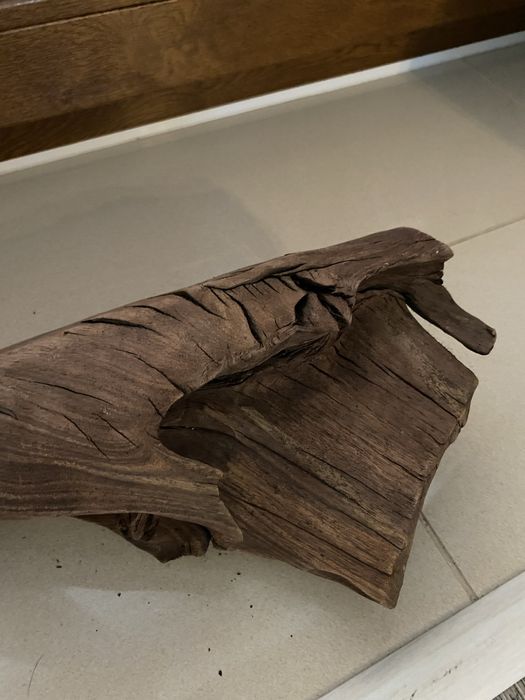 Drzewo mangrowe do akwarium - 3 szt