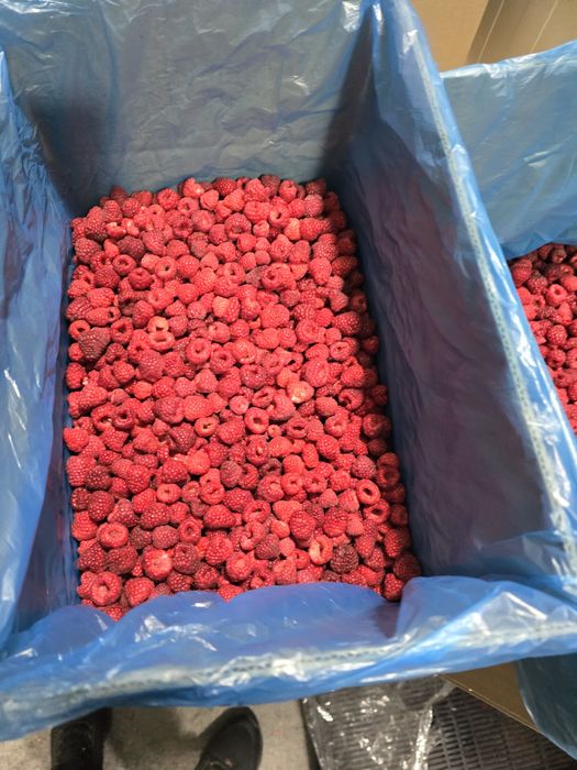 Продам ожину,малину,грис.