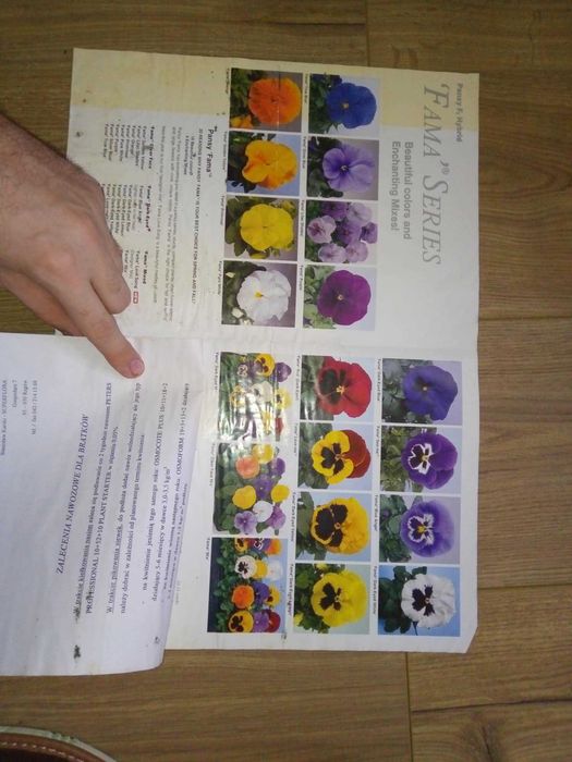 Gazetka Informator Ulotka kwiaty bratki rośliny 1999 katalog Benary