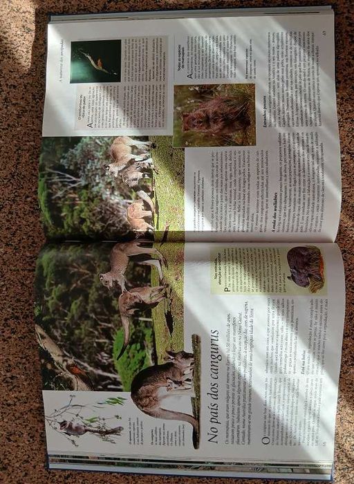 Austrália & Nova Zelândia (Grande Enciclopédia do Mundo)