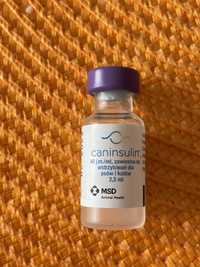 Caninsulin 2,5 ml insulina dla zwierzat