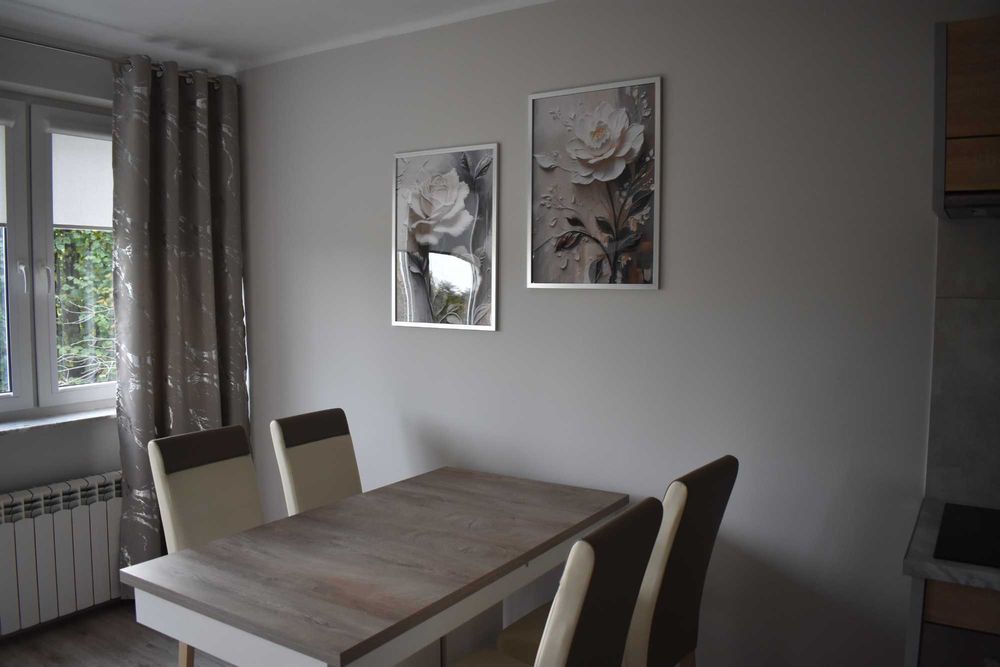 Mieszkanie do wynajęcia