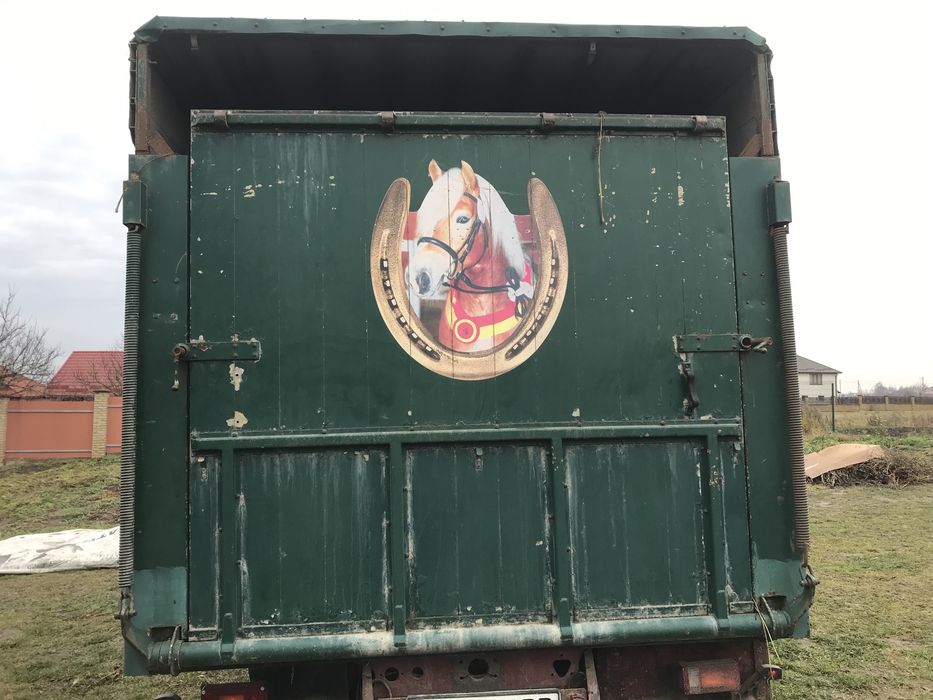 Скотовоз Iveco