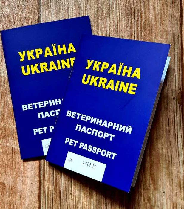 Щенки Jack Russell Джек Рассел готові до переїзду