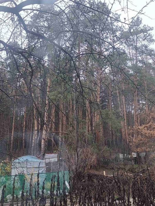 Продам 2-х комнатную изолированную КВ в ближнем пригороде в Подворках