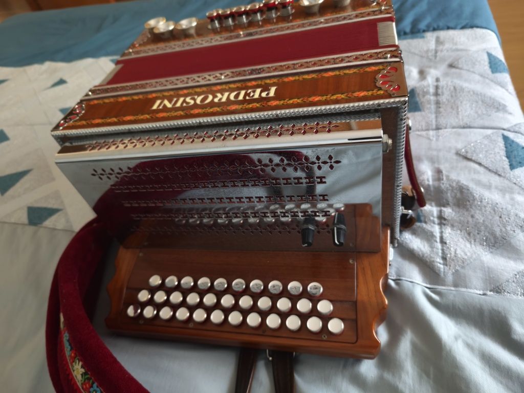 Concertina pedrosini