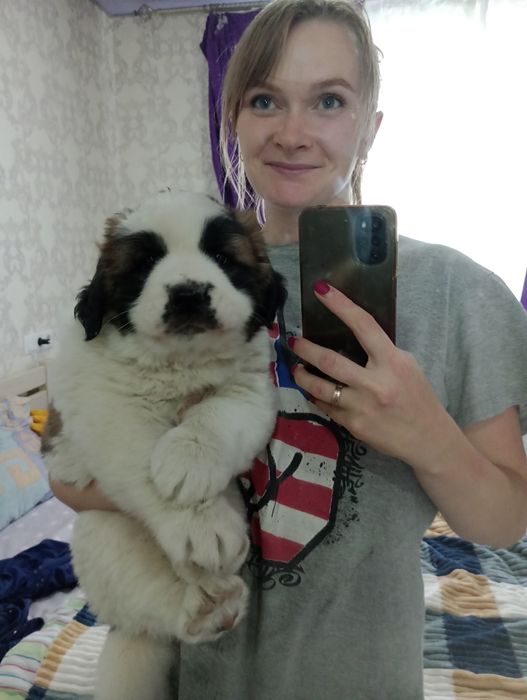 Московська сторожова