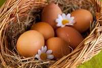 Яйца инкубационные,леггорн,микс цветной,доминант,бройлер