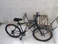 Vendo bicicleta Berg