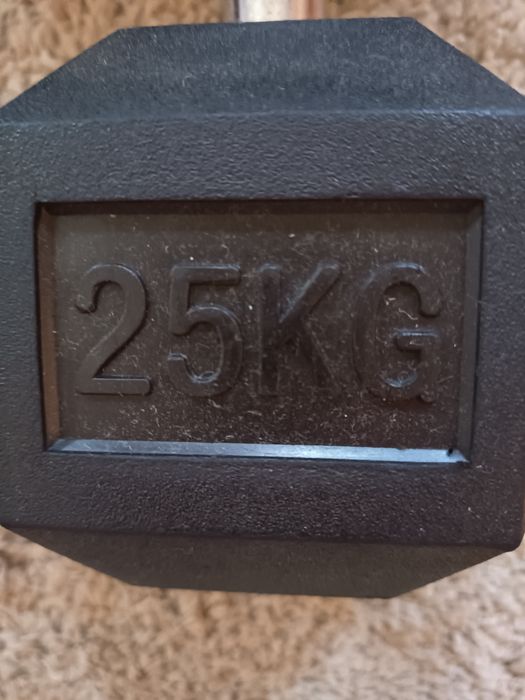 Haltere fitness / musculação