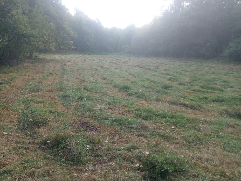 Działka 0,56 ha rolno leśna