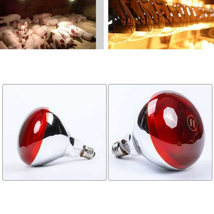 Lâmpada de infravermelhos calor criação de aves, suinicultura, repteis