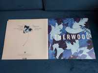 Etherwood ‎– Blue Leaves (12")