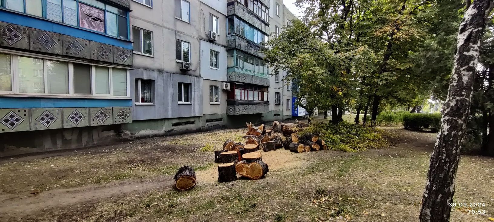 Спил, обрезка. Измельчение веток.