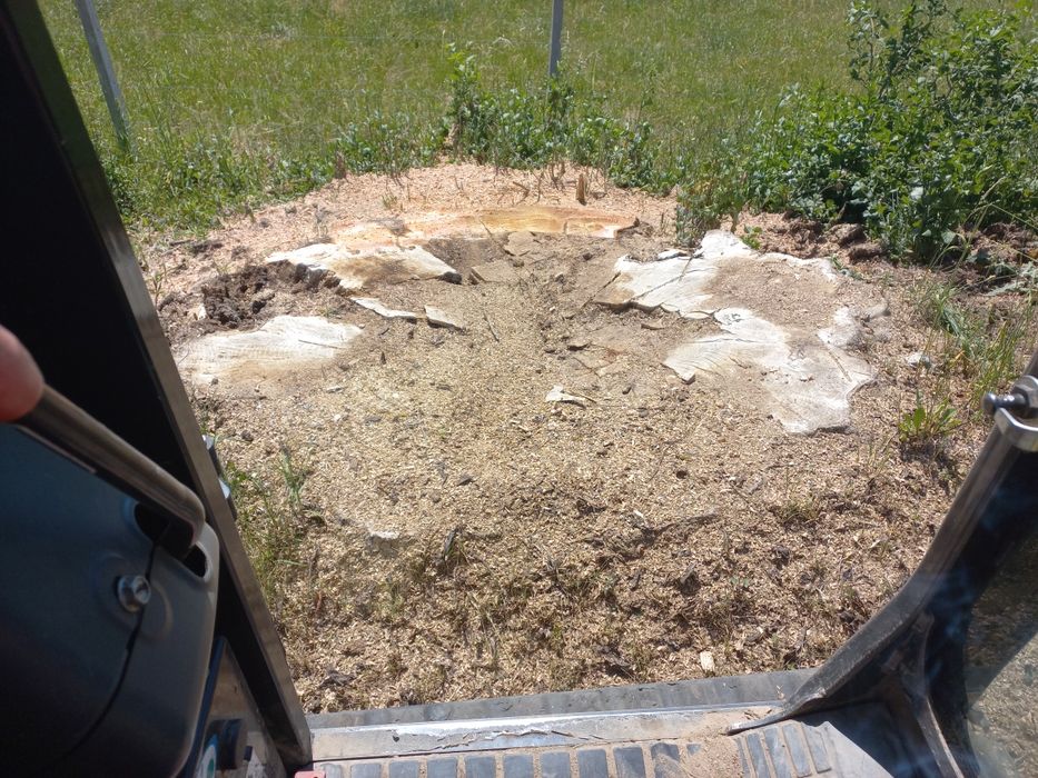 Frezowanie usuwanie pni karp po wycince karczowanie