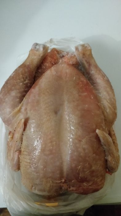 Продам тушку домашнього бройлера.