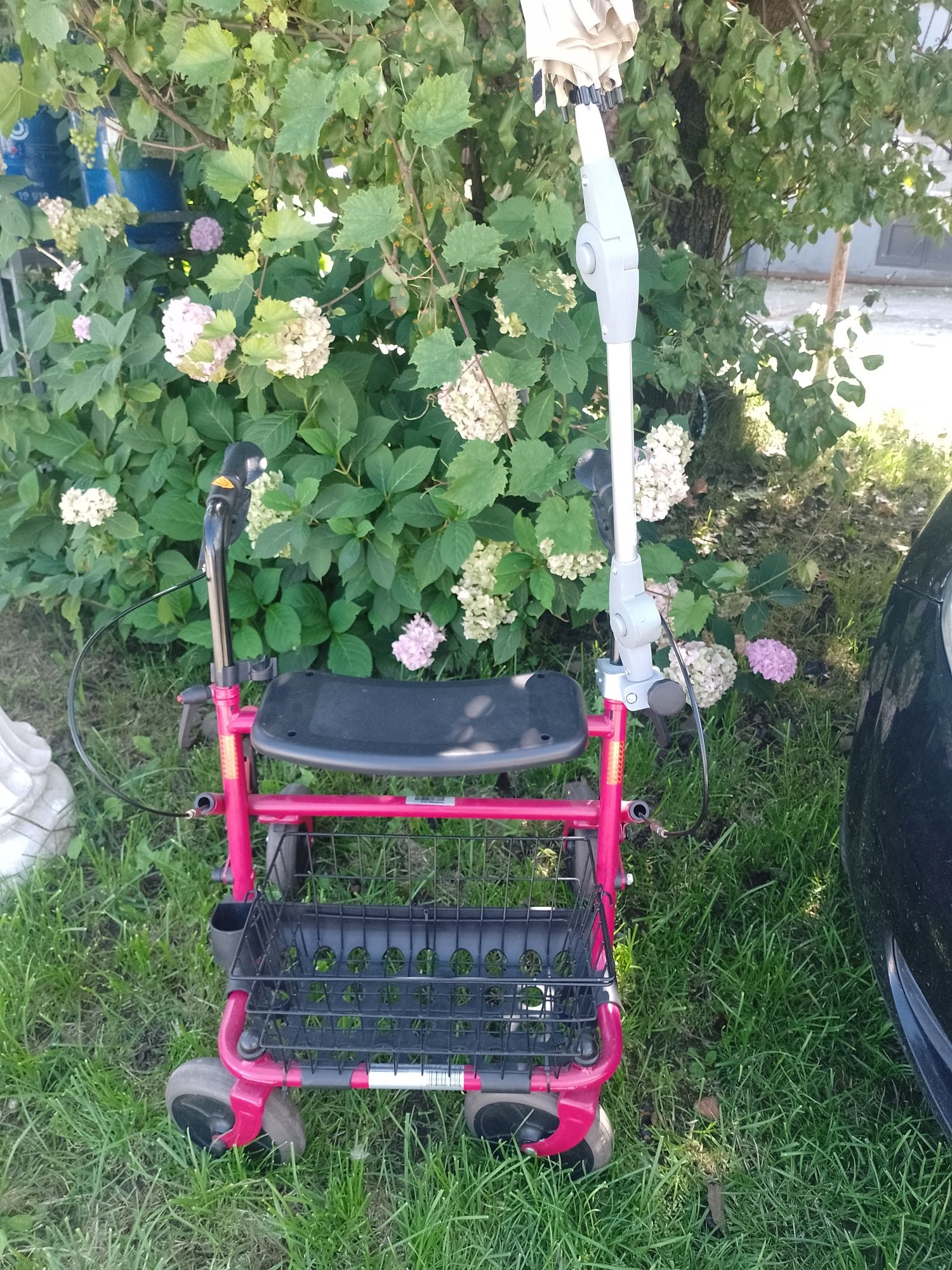 Chodzik dla seniora