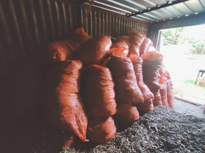 Zrębka pakowana w worki 100l