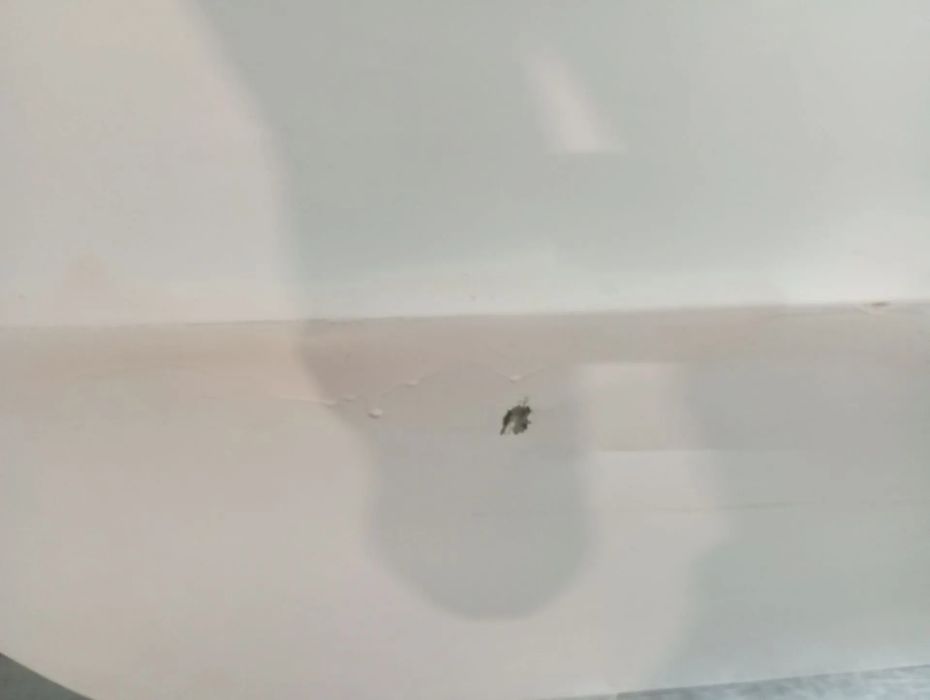 Porta trás direita PEUGEOT 508