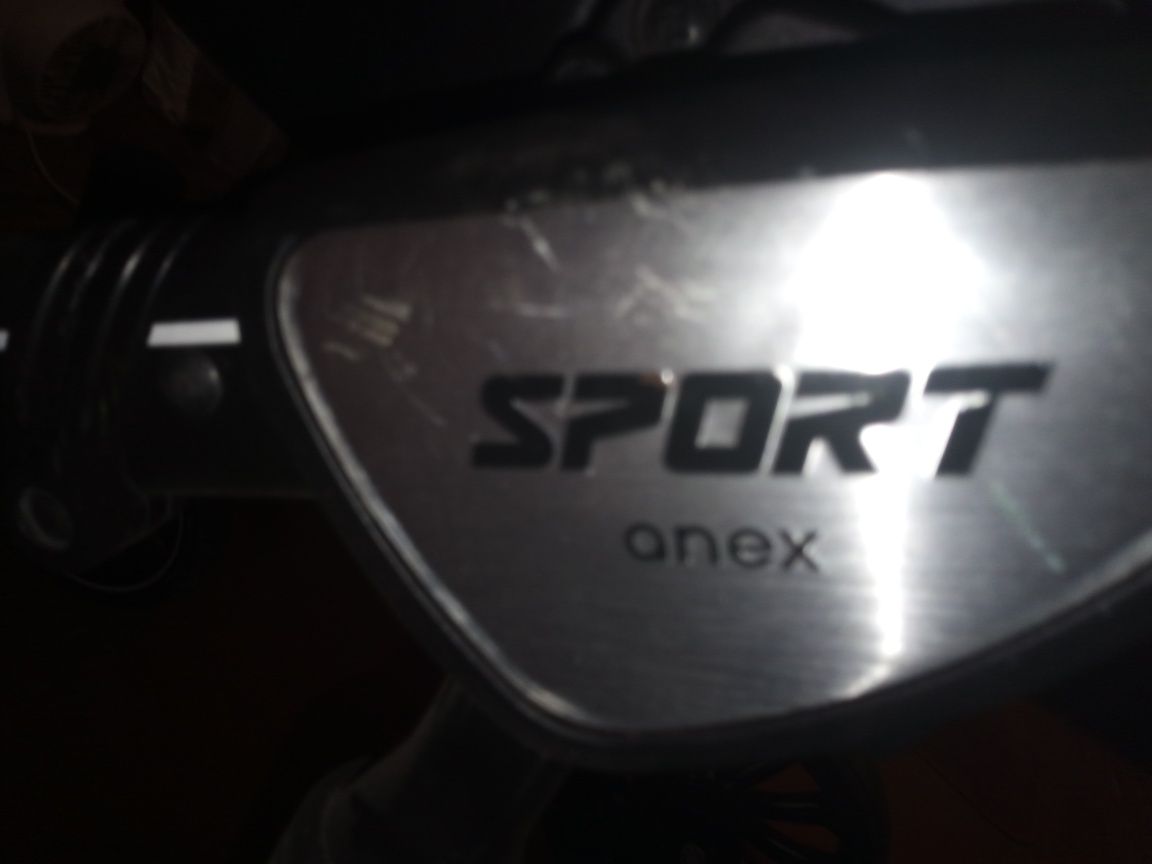 Детская коляска Sport Anex