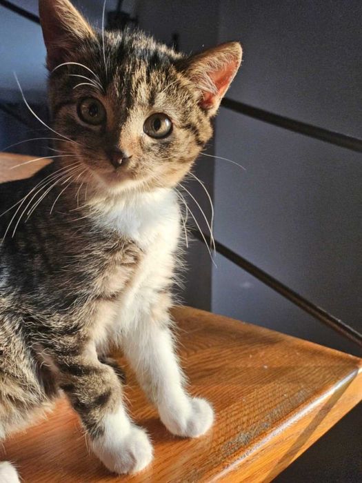 Luna szuka swojego człowieka