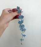 Ceropegia woodii variegata