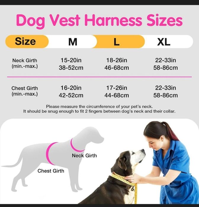 Шлея для собак з світовим ефектом