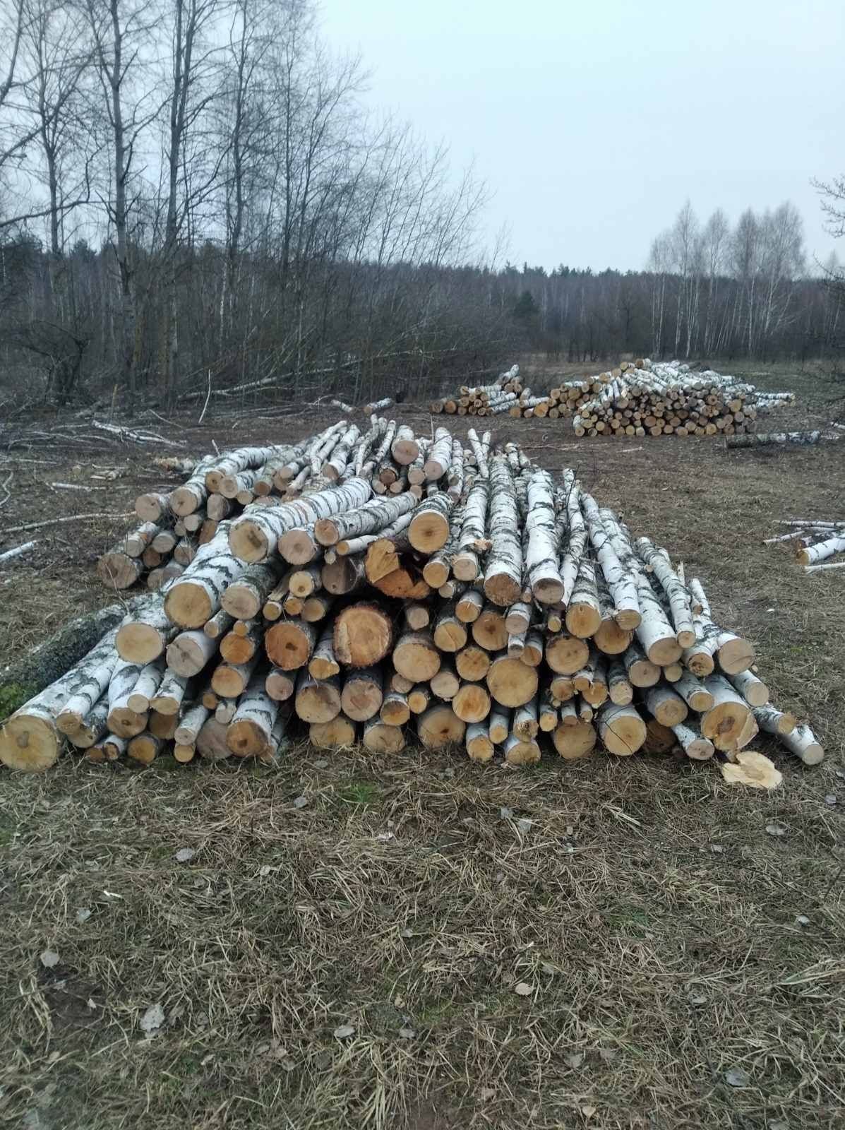 Дрова распродажа по оптовым ценам