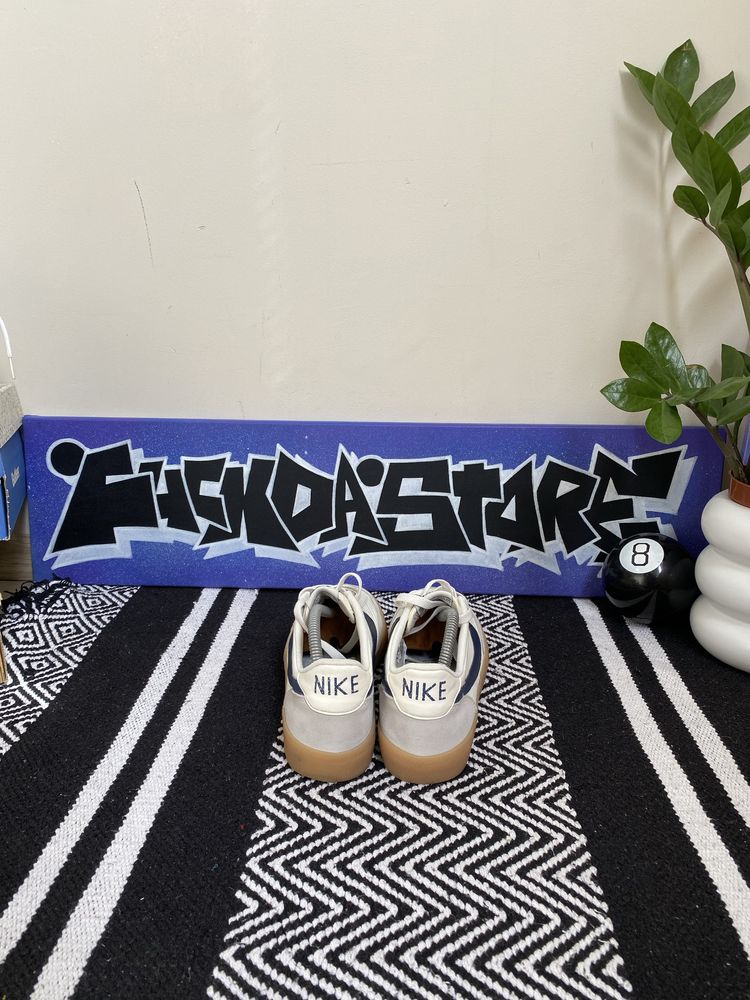 Nike Blazer Low Skate Sk8 Rap Shoes SB